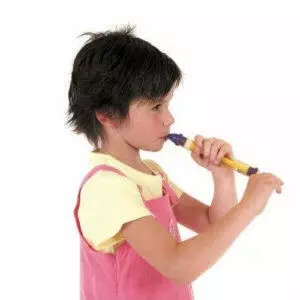 flauta de embolo