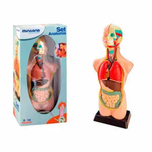 Set de anatomia Miniland