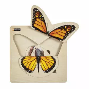 Material educativo nathan Puzzle por pisos - Ciclo de vida - Mariposa