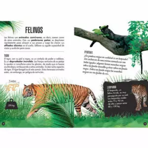 Manolito Books La Selva Elefante 3D