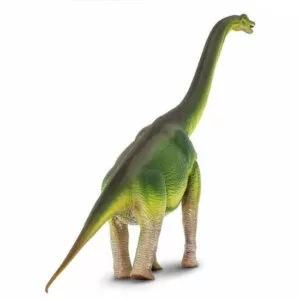 Brachiosaurus Safari LTD