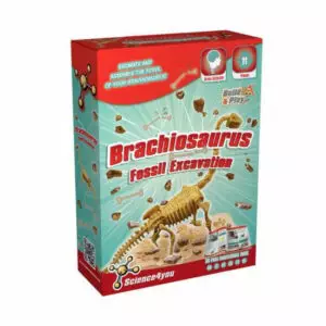 Excavaciones Fósiles Brachiosaurus|Excavaciones Fósiles Brachiosaurus Science4you