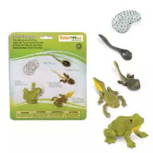 Dinosaurios Ciclo de Vida Rana de juguete